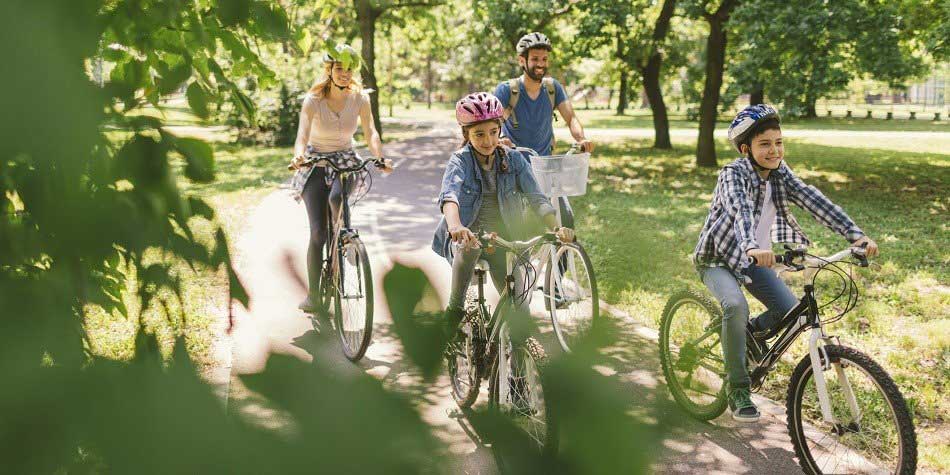Family of four bikes through park